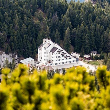 Hotel Alpin Rarau 坎普朗莫道尼斯 外观 照片