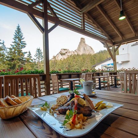 Hotel Alpin Rarau 坎普朗莫道尼斯 外观 照片