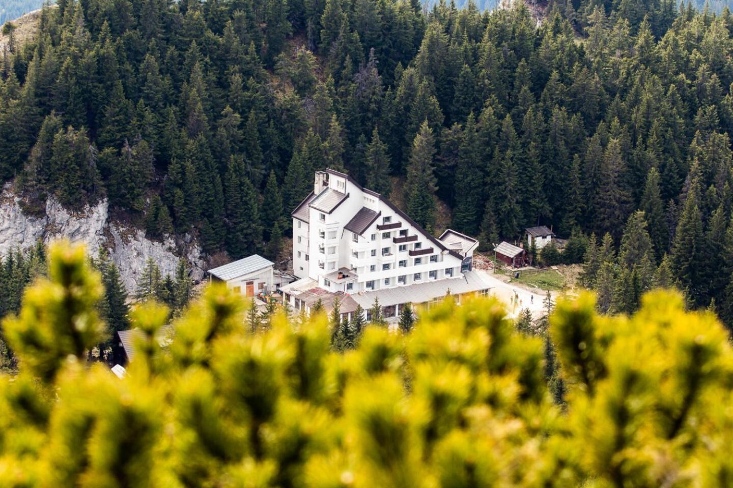 Hotel Alpin Rarau 坎普朗莫道尼斯 外观 照片